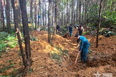 Chung sức đi tìm hài cốt liệt sĩ