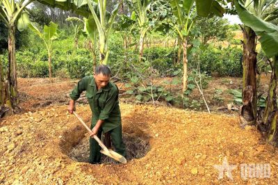 Nhường đồi tràm cho bộ đội diễn tập