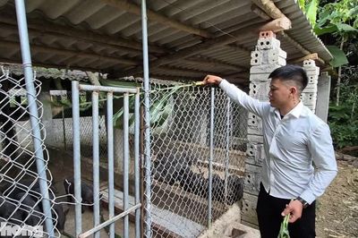 Vực dậy nhờ Nghị quyết 21