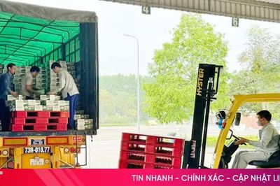 10 doanh nghiệp đóng nộp thuế nội địa lớn nhất cho Hà Tĩnh