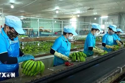 Gia Lai đặt mục tiêu có 60.000 - 65.000 doanh nghiệp hoạt động vào năm 2030