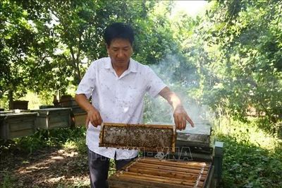 Những sáng kiến khoa học nâng tầm nông sản Việt