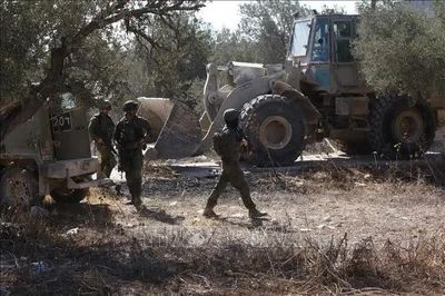 Bờ Tây tăng căng thẳng khi người Palestine bước vào mùa thu hoạch ôliu