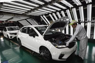 Thị trường ô tô Việt Nam 2026: Bứt tốc cùng làn sóng xe điện hóa