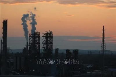 Ông Trump bác khả năng cấm xuất khẩu diesel