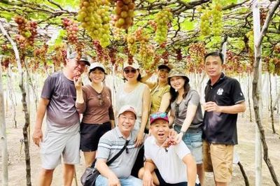 Vườn nho Thanh Thuỷ: Điểm đến xanh giữa miền nắng gió