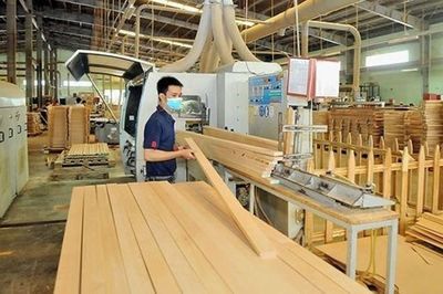 Thị trường gỗ nội địa cần một "luật chơi" minh bạch