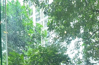 Từ bục giảng đến những miền thơ