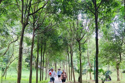Mỹ Sơn mở lối vào rừng