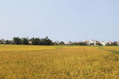 Hương ước - nếp làng xứ Quảng