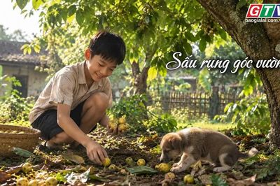 Ngăn ký ức: Sấu rụng góc vườn