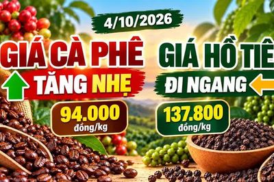 Giá cà phê, hồ tiêu hôm nay 4/10: Cà phê tăng, hồ tiêu đứng giá