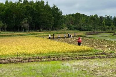 Bất ngờ bị yêu cầu nộp thêm tiền sử dụng đất, người dân cần làm gì?
