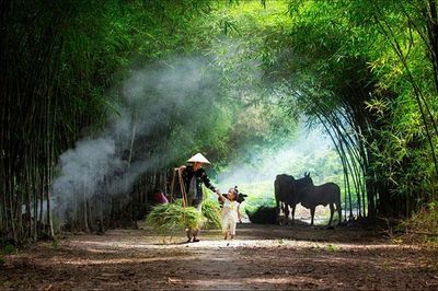 Thương nhớ tháng Mười
