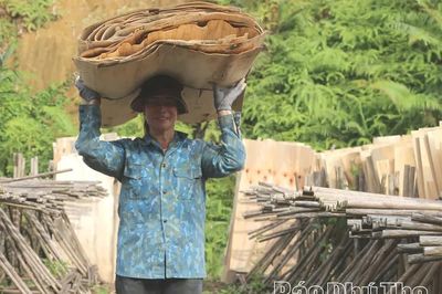 Phát triển nghề chế biến gỗ ở Tây Cốc