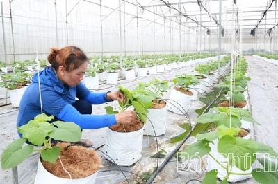 Vĩnh Yên phát huy sức mạnh khoa học công nghệ