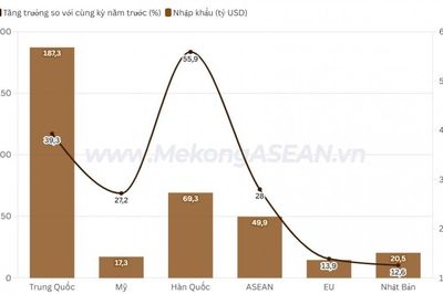 Việt Nam chi gần 50 tỷ USD để nhập khẩu hàng hóa từ ASEAN