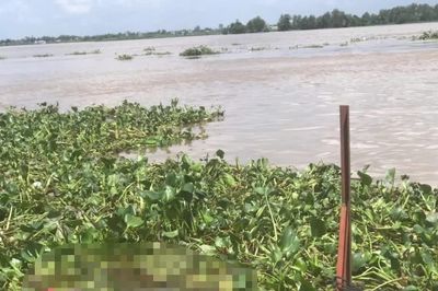 Truy tìm tung tích người phụ nữ có hàm răng giả tử vong trên sông Tiền
