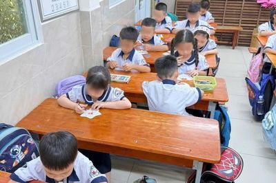 Phụ huynh học sinh ở TP Hồ Chí Minh mệt mỏi vì môn học liên kết