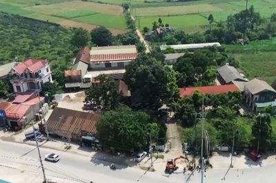 Sống hàng chục năm, đất vẫn thuộc nông, lâm trường