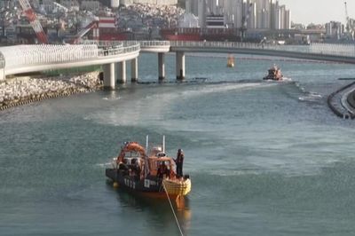 Hàn Quốc: Nỗ lực đưa cá mập lạc đường ra biển chưa thành công