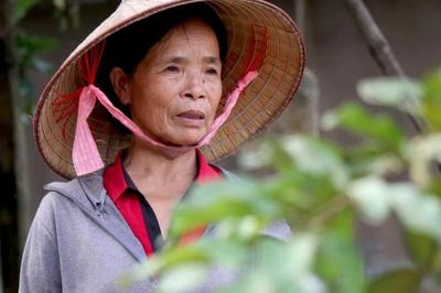 Bà Trần Thị Chung - Tấm gương nông dân Việt Nam xuất sắc 40 năm đổi mới