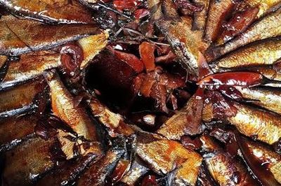 Loại cá nhỏ bé giá chỉ vài chục nghìn đồng/kg, được chuyên gia Mỹ khen vì 3 ưu điểm, chợ Việt bán nhiều