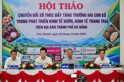 Đà Nẵng: Xã Tiên Phước thúc đẩy chuyển đổi số kinh tế vườn