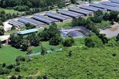 Đắk Lắk phê bình 35 xã, phường chưa kê khai các hoạt động chăn nuôi 6 tháng đầu năm 2026