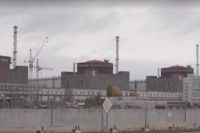 IAEA thúc đẩy ngừng bắn cục bộ để bảo đảm an toàn nhà máy Zaporizhzhia