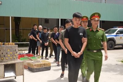 Công an TP.HCM triệt phá đường dây trộm cắp, tiêu thụ 2.700 con mèo