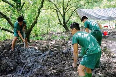 Đồng Tháp quy tập 16 bộ hài cốt liệt sĩ trong vườn cây ăn trái của người dân