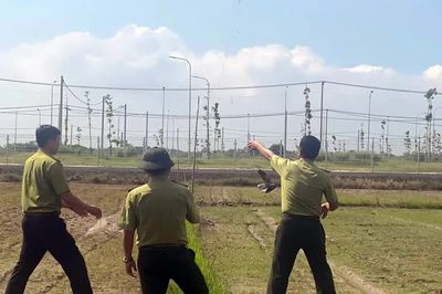 Thu giữ hàng trăm mét lưới bẫy bắt chim hoang dã