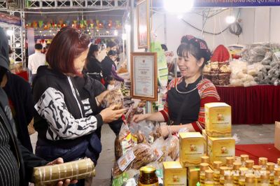 Hội chợ công nghiệp nông thôn phía Bắc: Tăng kết nối, mở rộng thị trường
