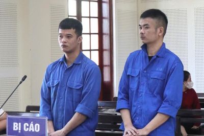 Lĩnh án vì đưa người nước ngoài nhập cảnh trái phép vào Việt Nam