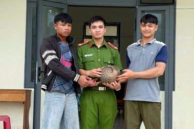Người dân tự nguyện giao nộp cá thể tê tê quý hiếm