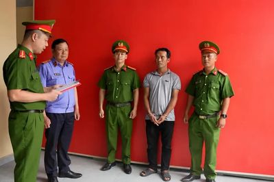 Bắt nhóm đối tượng trộm 2.700 con mèo ở TPHCM