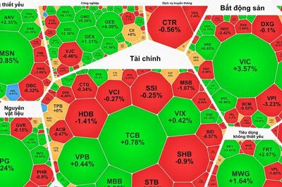VN-Index tăng gần 16 điểm, thanh khoản sụt giảm mạnh