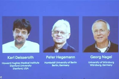 Nobel Y sinh 2026 vinh danh công trình nghiên cứu về di truyền quang học