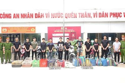 Công an TP HCM khởi tố 12 người trong đường dây trộm cắp mèo