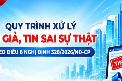 6 bước xử lý, phạt nặng hành vi tung tin giả từ 5/10