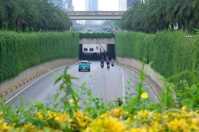 Hà Nội thí điểm phủ xanh trụ cầu đường sắt, hầm chui và nhà chờ xe buýt