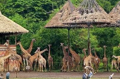 Sở Tài chính Hà Nội nói về dự án Safari Ba Vì