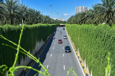 Hà Nội thí điểm phủ xanh trụ đường sắt, hầm chui, cầu vượt