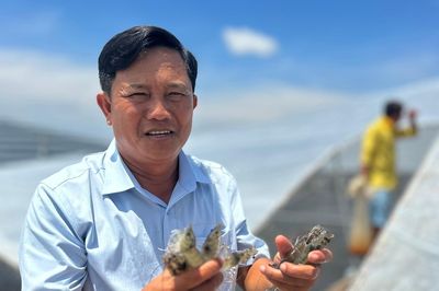 Bí quyết 'trùm mùng' nuôi tôm công nghệ cao, nông dân miền Tây lãi 40 tỷ/năm