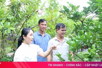 Những người không chuyên trách ở xã Cẩm Bình chọn ở lại với 'việc làng'