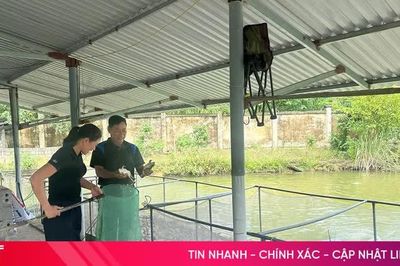 Nông nghiệp tuần hoàn - hướng đi bền vững cho nông dân
