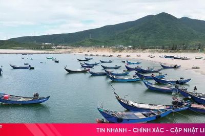 Chủ động ứng phó với mưa lớn, sạt lở đất trên địa bàn Hà Tĩnh