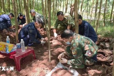Quảng Trị: Hành trình trả lại tên cho những người đã nằm xuống