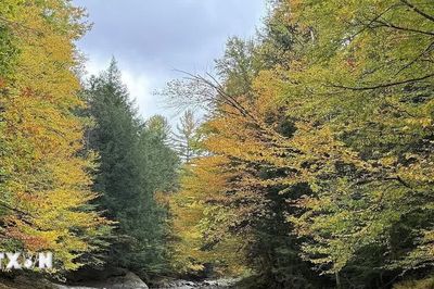 Sắc Thu quyến rũ tại bang Vermont ở vùng Đông Bắc nước Mỹ
